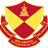 Thep Xanh Nam Dinh FC
