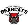 Sturt Sabres