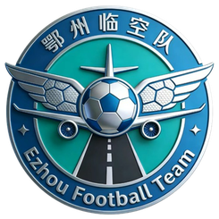 Xiaogan Team